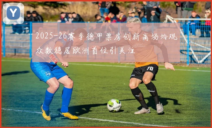 2025-26赛季德甲票房创新高场均观众数稳居欧洲首位引关注